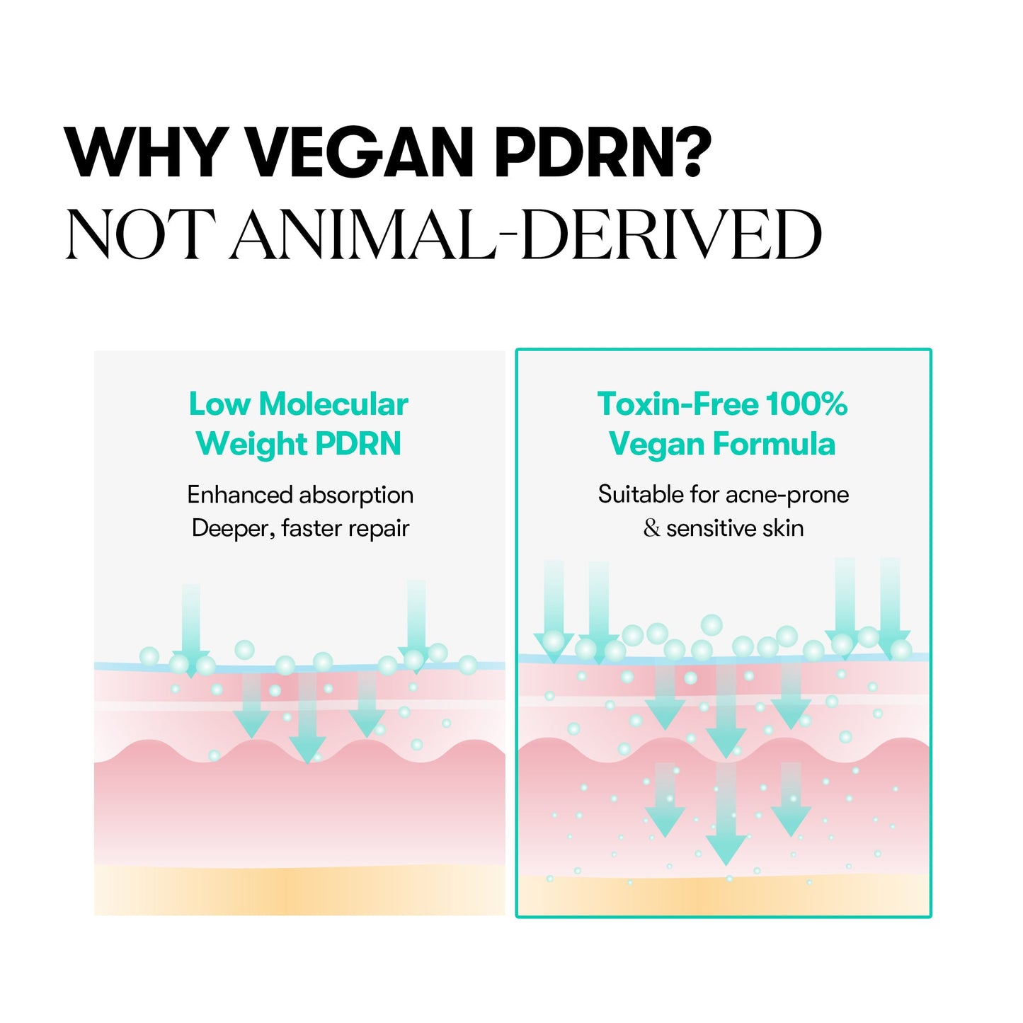 PDRN Capsule Cream